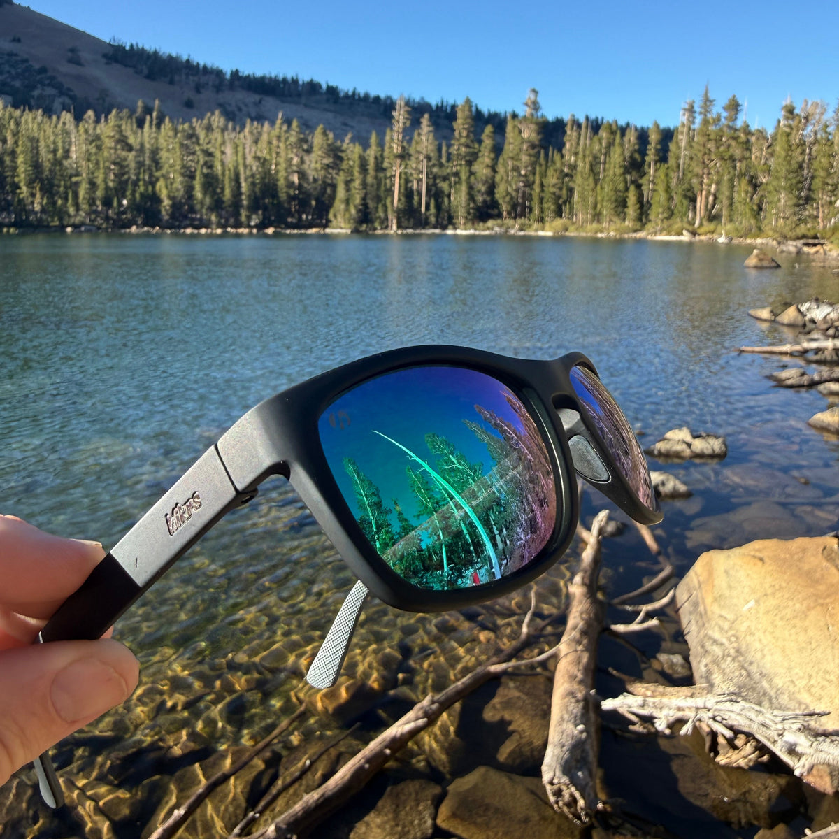Canyon - Black Obsidian & Evergreen