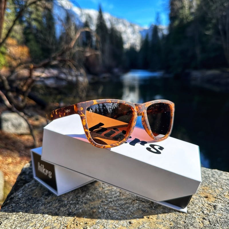 Daypack - Tortoise & Brown