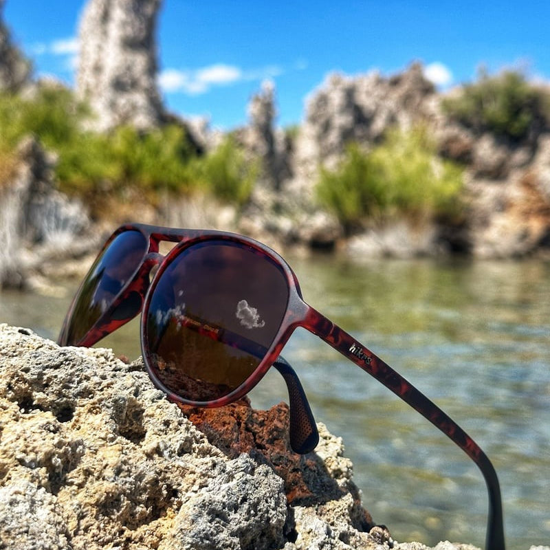 Major Shade - Tortoise & Brown