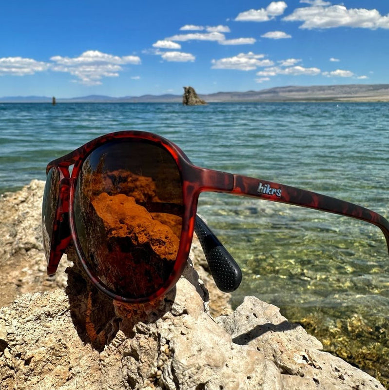 Major Shade - Tortoise & Brown