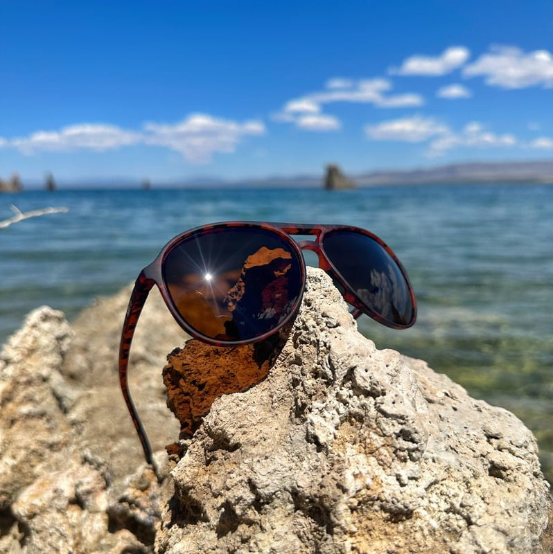 Major Shade - Tortoise & Brown