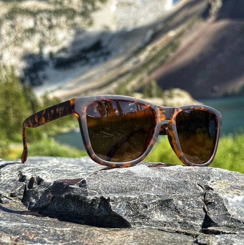 Daypack - Tortoise & Brown