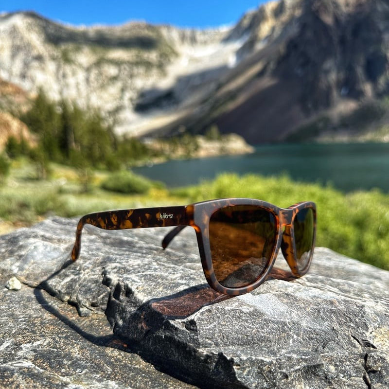 Daypack - Tortoise & Brown