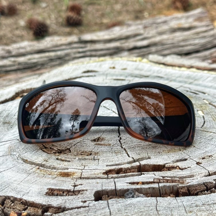 Ridge - Black Obsidian/Tortoise & Brown