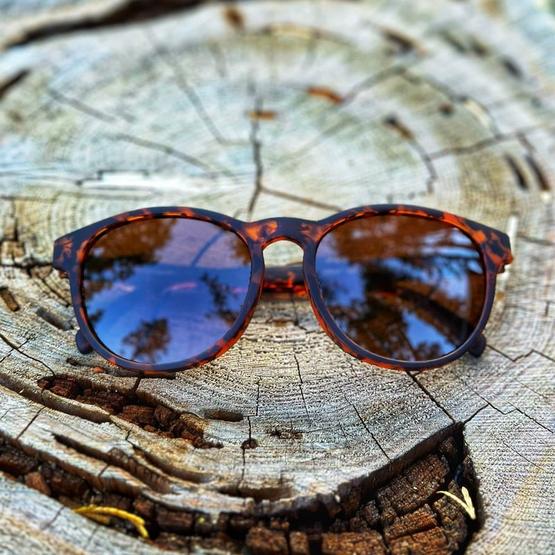 Yosemite - Tortoise & Brown